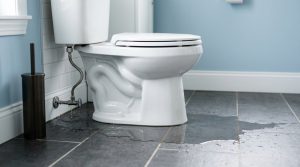 5 Common Toilet Problems and When to Call a Professional